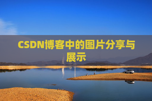 CSDN博客中的图片分享与展示